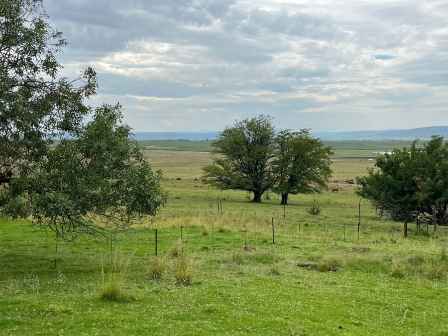 6 Bedroom Property for Sale in Ladybrand Rural Free State